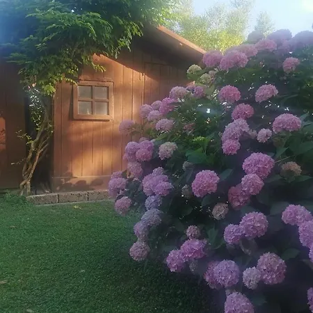 La Corte 페라라