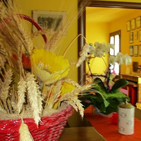 La Corte